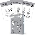 NewMe Fitness Dumbbell Workout Cards, Instructional Fitness Deck for Women & Men, Beginner Fitness Guide to Training Exercises at Home or Gym (Dumbbell, Vol 2)