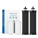 cfweater Water Filter Replacement Compatible with Berkey Water Filter System, 2 Activated Carbon Filters and 2 Fluoride Filters for Berkey Big, Light, Imperial, Travel, Crown, Royal Series (Pack of 4)