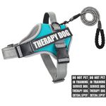Dog Vest Harness and Leash Set, Animire Reflective Service Dog Vest in Training Dog Harness with 10 Patches, 3 Rings Emotional Support Therapy Dog Harness for Small Medium Large Dogs(Teal,XS)