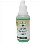 ASMI'S GARDEN Lucky Bamboo Care, Premium Essential Powerful Liquid for complete care of Lucky Bamboo Plants (180 ml)|Pack Of 6|