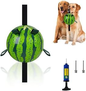 Dog Balls 