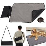 Travel Blanket For Dogs