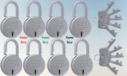 Foora Same Key Lock Set - 10 Padlocks with 10 Common Key, Multiple Lock with Single Key for Home Security