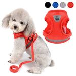 Zunea No Pull Dog Harness for Small Dog, Reflective Breathable Soft Mesh Padded Step-in Vest Harness Leash Set, Puppy Girl Dog Cat Lead for Daily Walking Running Training - (Red, XL)