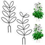 indoor plant support, Trellis Leaf Shape Garden Trellis for Climbing Plant Metal Wire Stake for Potted Plant Houseplant Lover_SH-PLJ-013_CA