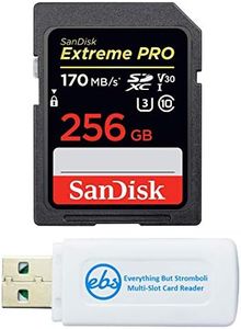 SanDisk Ex