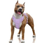 BARKBAY No Pull Dog Harness Large Step in Reflective Dog Harness with Front Clip and Easy Control Handle for Walking Training Running with ID tag Pocket(Violet Purple,L)