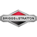 Briggs & Stratton Briggs & Stratton # 590507 Gasket Set-Valve