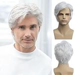 Baruisi Men Wigs Short White Wig Sy