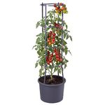 GEEZY Self Watering Tomato Planter Pot with 4-Tier Trellis for Climbing Vine Plants and Vegetables – Integrated Irrigation System, Weather-Resistant – Indoor/Outdoor, Balcony, Patio, Garden