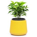 Livzing 7 inch Plastic Self Watering Flower Pots | Indoor & Outdoor Planters | Planter Pots| Self Watering System | UV Resistant | Effortless Watering | Reduce Maintenance | (Yellow)