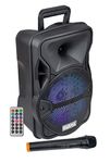 Amplified Speaker with Radio Microphone 300W PMPO