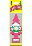 LITTLE TREES Car Air Freshener | Hanging Paper Tree for Home or Car | Morning Fresh | Pack of 3