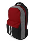 Greenfield Collection Cardinal Red 20 Litre Backpack Cool Bag