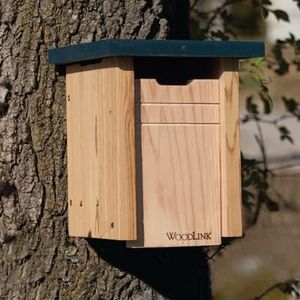 Woodlink B