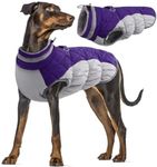 Dog Jacket Winter Coat, Dog Coat with Harness Built in Dog Coat with Zip Dog Coats Waterproof with Harness Hole(Purple, 2XL)