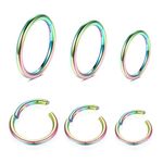 WBRWP 316L StainlessSteel PiercingRing Hinged NoseRingsHoop : 20G 18G 16G 14G Womens and Mens Body Pierecing Ring Segment Clicker Lip Rings Helix Cartilage Rook Earrings Diameter 6mm 8mm 10mm