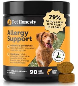 Dog Allerg