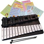 Large Xylophone 25 Notes Chromatic Glockenspiel, Bag, Sheet Music Cards, 45-song Ebook