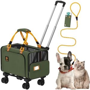PAWZIDEA E