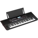 Roland 61-Key Arranger Keyboard (E-X50)