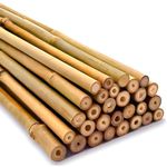 Strong Heavy Duty Professional Bamboo Canes for Plant Support - Multiple Lengths 2ft - 8ft Garden Stakes, Durable Large Garden Canes Sturdy & Natural Bamboo Sticks for Plants Size (2ft, 10, 10-12mm)