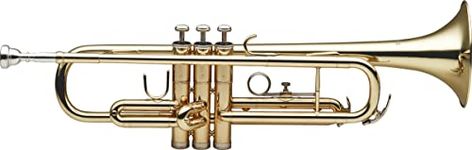 Stagg Trumpets