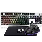 Beastron Gaming Keybaord and Mouse 
