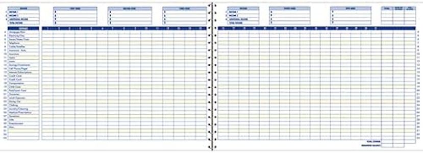 Adams Home Office Budget Book, Weekly/Monthly Format, 10 x 7 Inches, White (AFR31),ABFAFR31