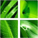 Picture 6601 – art on canvas green leaves 4 x 12 x 12", four-part parts XXL Pictures completely framed on large frame. Art print Images realised as wall picture on real wooden framework. A canvas picture is much less expensive than an oil painting poster or placard