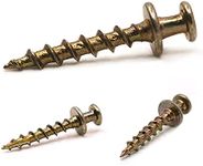 Bear Claw Screw Hanger Gold - 30lb Picture Hooks - 4-in-1 Picture Hanging Screws for D-Rings, Sawtooth, Wire and Keyholes - Mounts in Drywall and Wood Studs 30 Pack