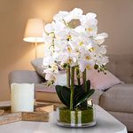 Qucover Artificial White Orchid Butterfly Flower in Vase Real Touch Fake Phalaenopsis Silk Bouquet Bonsai for Home Wedding Party Decoration Mothers Day Flowers