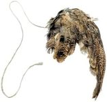 Undique Wing on String Cat Toy - Real Bird Wing Dog Training Supplies & Accessories, Quail Wing Bird Scent Interactive Play for Cats, Hunting Dog Training Bird Retrieval Cat Trainer