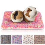 Sbayool 5PCS Guinea Pig Bed Mat, Warm Fluff Guinea Pigs Blankets, Small Animal Bed Mat for Kitten Rabbit Chinchilla Ferret Hamster 32×25cm, Footprint