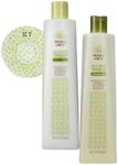 Trader Joe's Tea Tree Tingle Shampoo & Conditioner, 16 oz with 1 HappyTasty Shower Cap (Color May Vary)