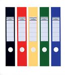 Durable Ordofix Self-Adhesive Spine Labels | Ideal for Lever Arch Files and Folders | Assorted Colours | Pack of 10 | 60 mm Width