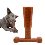 Bambone Plus Chew Toy for Dogs Beef 6"