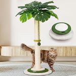 MEOWOOU Cat Scratching Post for Indoor Cats and Kitten, 35” Tall Monstera cat Scratching Post with sisal Hanging Interactive Ball, Suitable for Large Adult cat, Kitten, and All Type of Cats