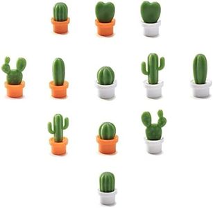 Decorative Refrigerator Magnets, Perfect Fridge Magnets for House Office Personal Use Cactus Orange, White, Green