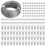 Blisstime Picture Hanging Kit - 100 Feet Stainless Steel Hanging Wire, 60 Pcs D Ring Picture Hangers with Screws and 60 Pcs Aluminum Crimping Loop Sleeve for Hanging Paintings Photos