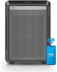 Winix 9800