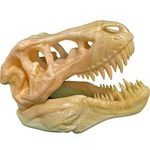 uneeke shape T Rex Skull: Dinosaur Skeleton, Realistic Look High Detailed Fancy Tyrannosaurus, Science Kit Jurassic Toy Cum Showpiece (Only Skull)