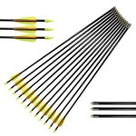 26'' Fiberglass Arrows Archery Target Arrow Hunting Shooting Practice Target for Professional Youth Archery Recurve Bow Shooter(Pack of 12)