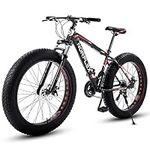 Norflex Fat Tire Mountain Bike for 