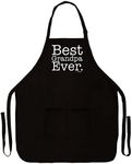 ThisWear Best Grandpa Ever Apron for Kitchen BBQ Barbecue Cooking Two Pocket Apron Black