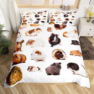 Guinea Pig