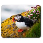 Atlantic Puffin Bird Mouse Mat Pad Computer PC Laptop Gaming Office Home Desk Accessory Gadget 21164