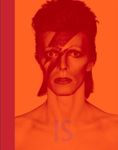 David Bowie Is (Museum of Contempor