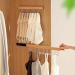 Pull Out Bra Hanger for Closet, Sliding Hooks Rack for Belt Ties Tank Top Scarf Jewelry, Space Saving Organizr for Wardrobe Cabinet, Right Side 12 Hooks Rail, 2 Pcs