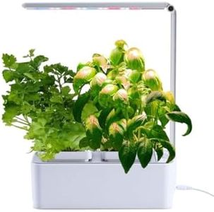 Mr Fothergill's HydroGarden Original Indoor Garden Hydroponics Growing System - Liquid Fertiliser, Basil & Coriander Herb Seeds Included